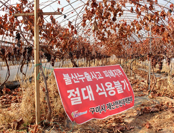 오마이뉴스 2012년 10월 29일, 불산누출피해지역임을 알리는 현수막